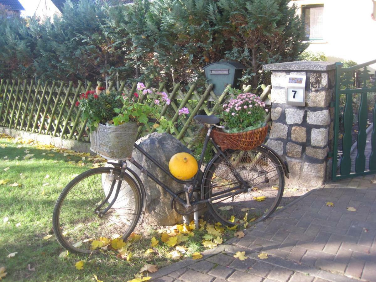 Pension Zum Weissen Hirsch Reitwein 외부 사진