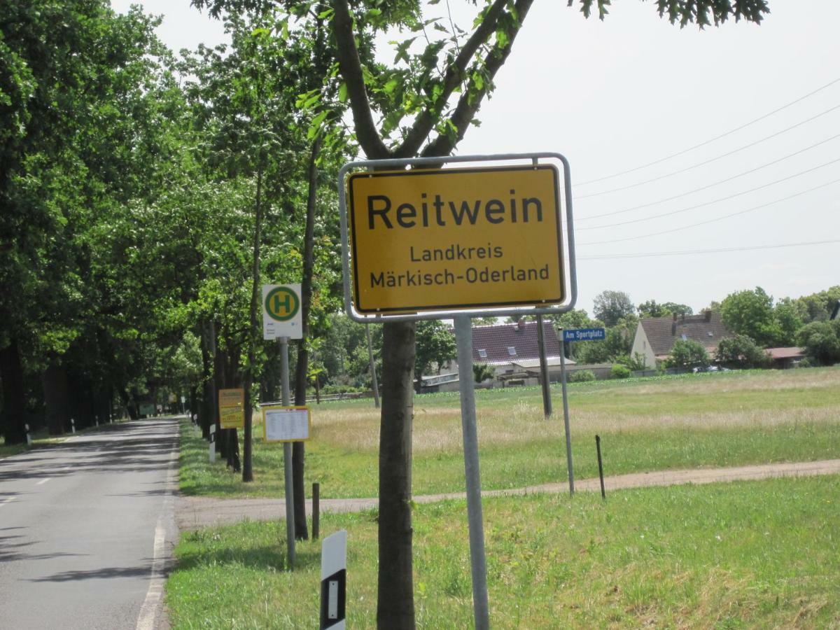 Pension Zum Weissen Hirsch Reitwein 외부 사진