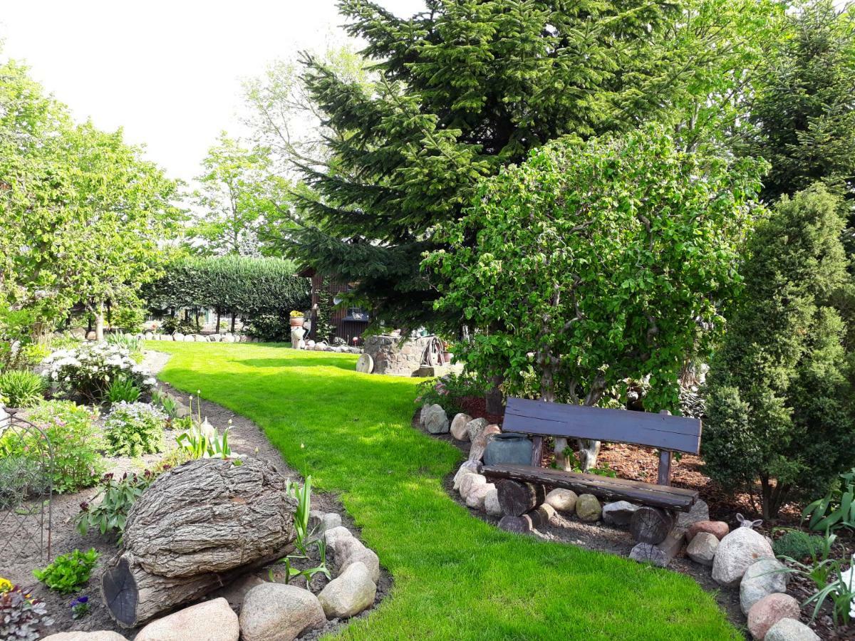 Pension Zum Weissen Hirsch Reitwein 외부 사진