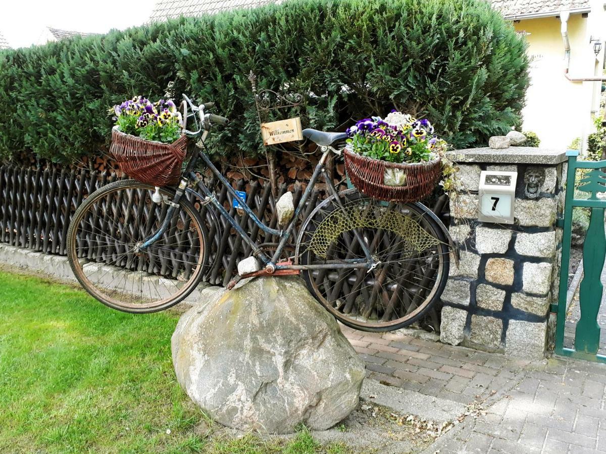 Pension Zum Weissen Hirsch Reitwein 외부 사진